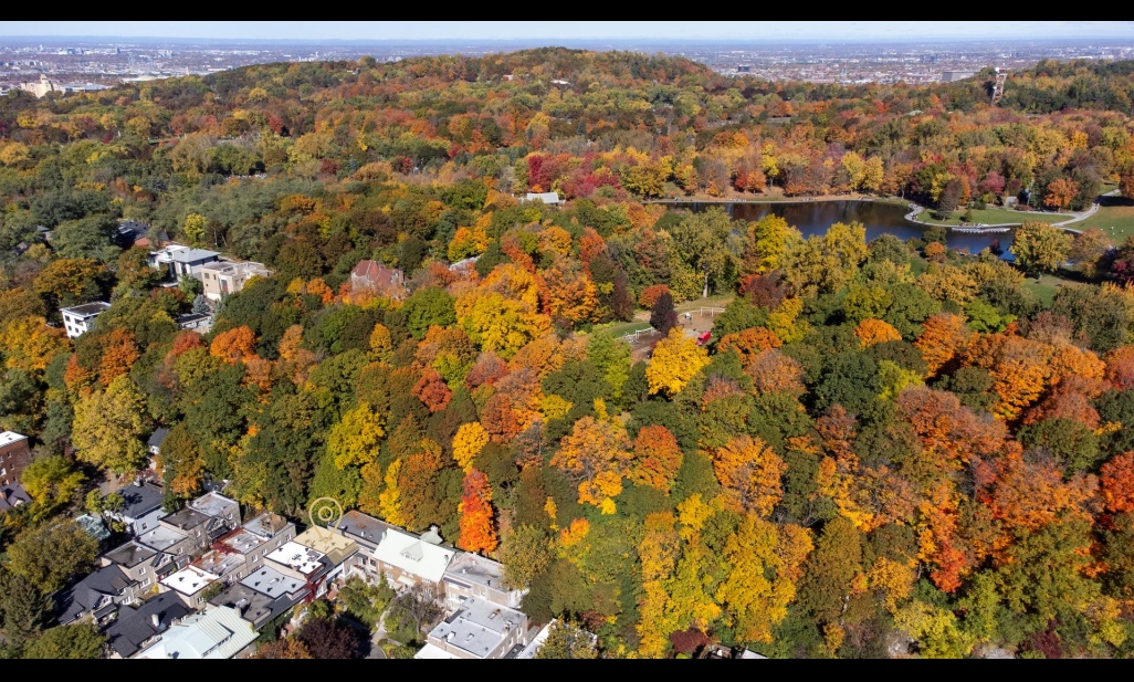 Propriété à Montréal (Ville-Marie) | 12 Place Parkside, Montréal (Ville-Marie)