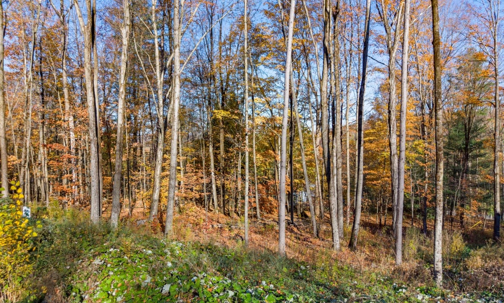 Propriété à Dunham |  Rue de Huntingdon, app. 8, Dunham