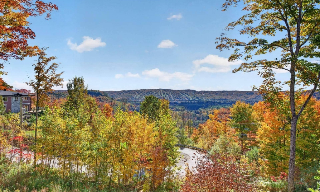 Property in Sainte-Adèle | 1601 Rue O'Connell, Sainte-Adèle