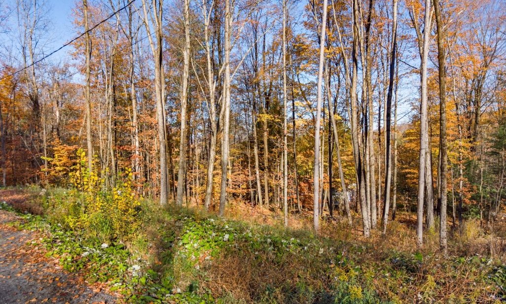 Propriété à Dunham |  Rue de Huntingdon, app. 8, Dunham