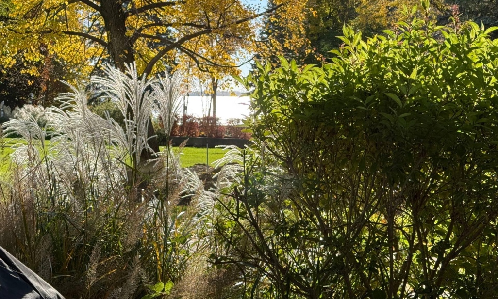 Propriété à Montréal (Verdun/Île-des-Soeurs) | 100 Rue Berlioz, app. 103, Montréal (Verdun/Île-des-Soeurs)