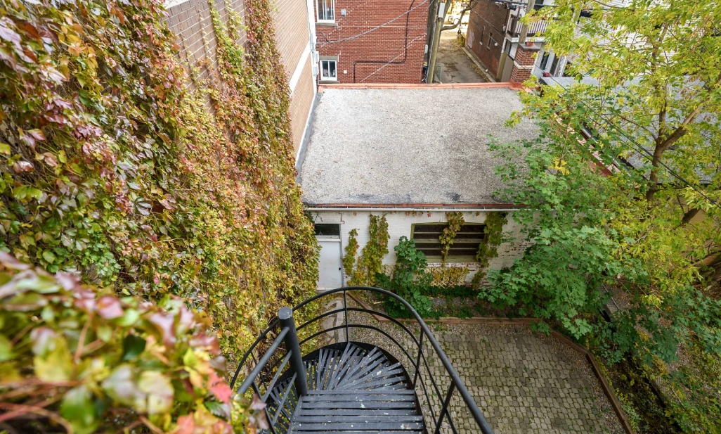 Property in Montréal (Le Plateau-Mont-Royal) | 3599 Av. Papineau, Montréal (Le Plateau-Mont-Royal)
