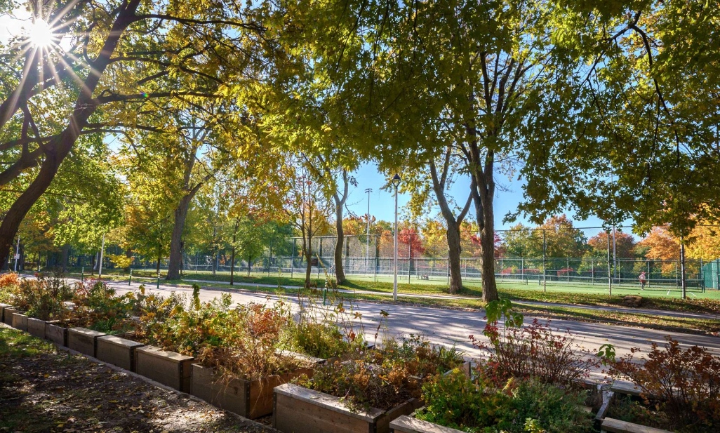 Property in Montréal (Le Plateau-Mont-Royal) | 3599 Av. Papineau, Montréal (Le Plateau-Mont-Royal)