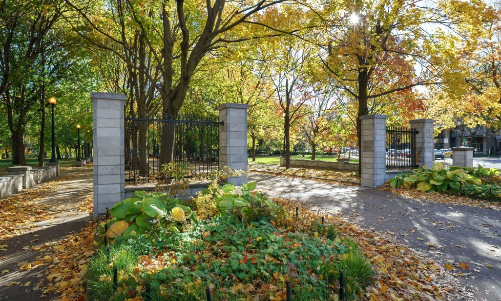 Property in Montréal (Le Plateau-Mont-Royal) | 3599 Av. Papineau, Montréal (Le Plateau-Mont-Royal)