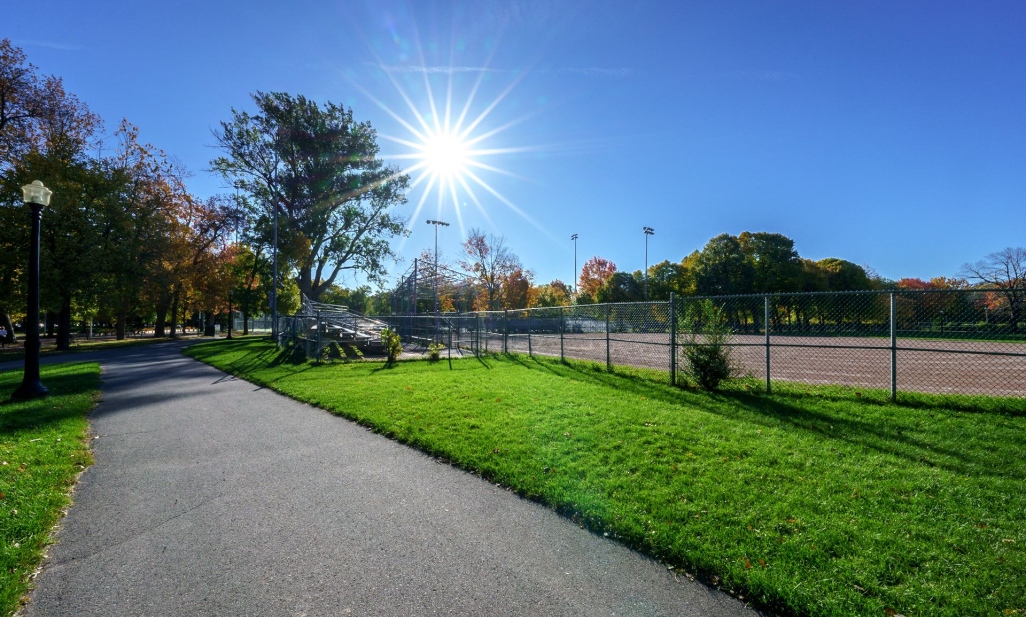 Property in Montréal (Le Plateau-Mont-Royal) | 3599 Av. Papineau, Montréal (Le Plateau-Mont-Royal)