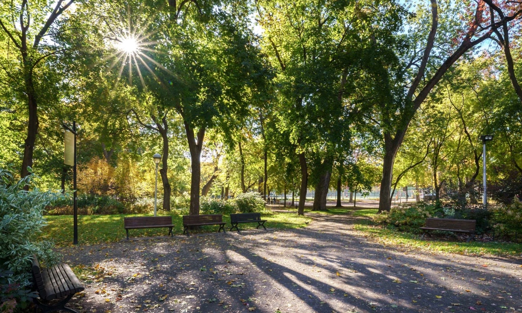 Property in Montréal (Le Plateau-Mont-Royal) | 3599 Av. Papineau, Montréal (Le Plateau-Mont-Royal)