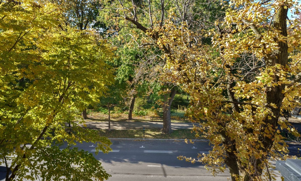 Property in Montréal (Le Plateau-Mont-Royal) | 3599 Av. Papineau, Montréal (Le Plateau-Mont-Royal)